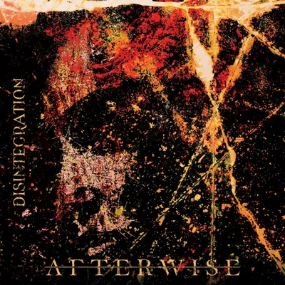 Afterwise - Disintegration
