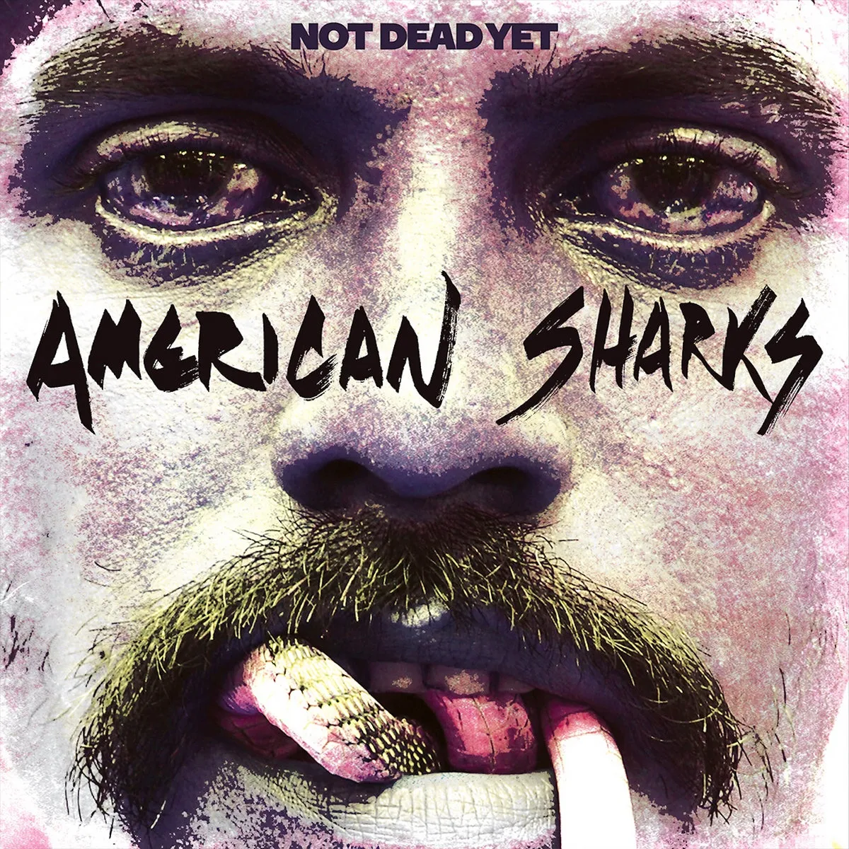 American Sharks - Not Dead Yet
