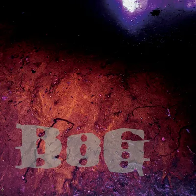 BOG - Incubant