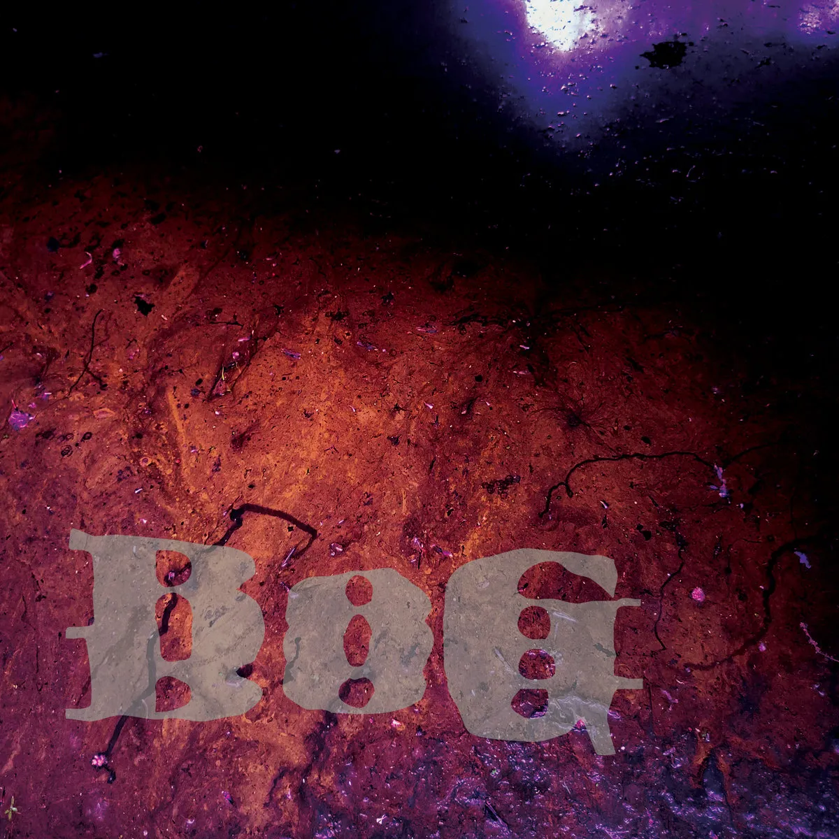 BOG - Incubant