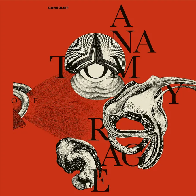 Convulsif - Anatomy of Rage