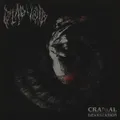 Dead Void