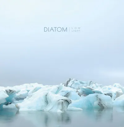 Diatom - Low Light