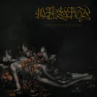 Mansvara - Sable Odes to Nihility album cover