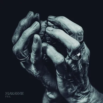Marasme - Fel