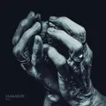 Marasme