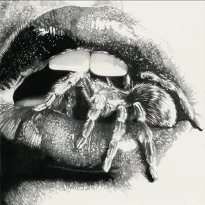 Masheena - Let The Spiders In
