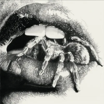 Masheena - Let The Spiders In
