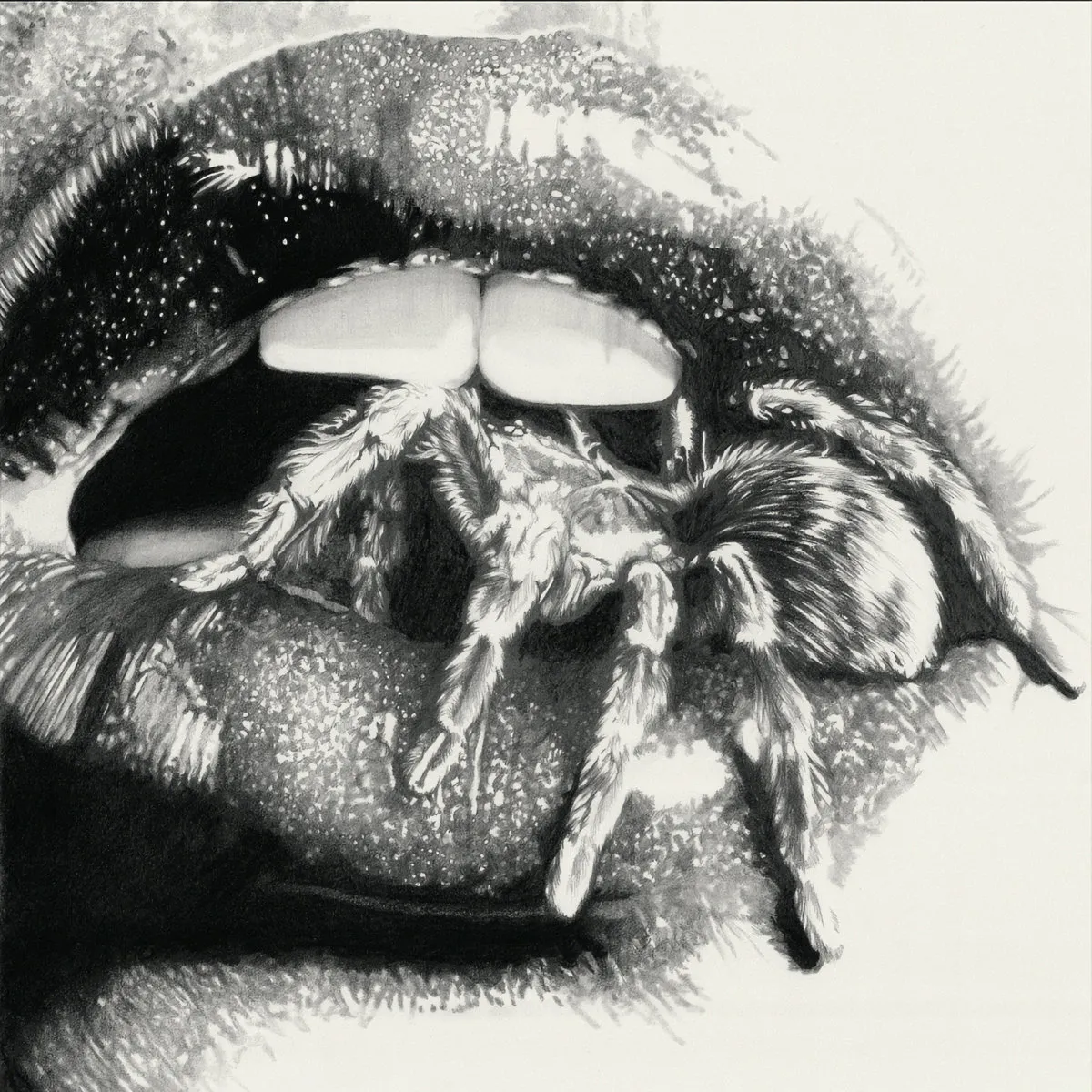 Masheena - Let The Spiders In