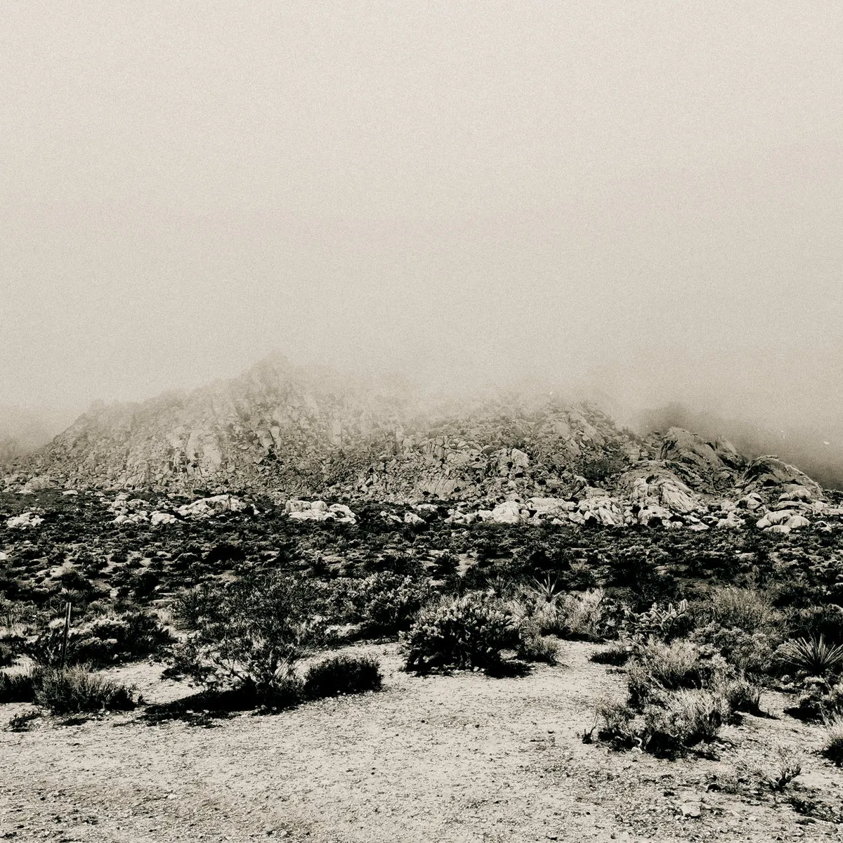 Mizmor - Mnemonic Ambient Mosaic