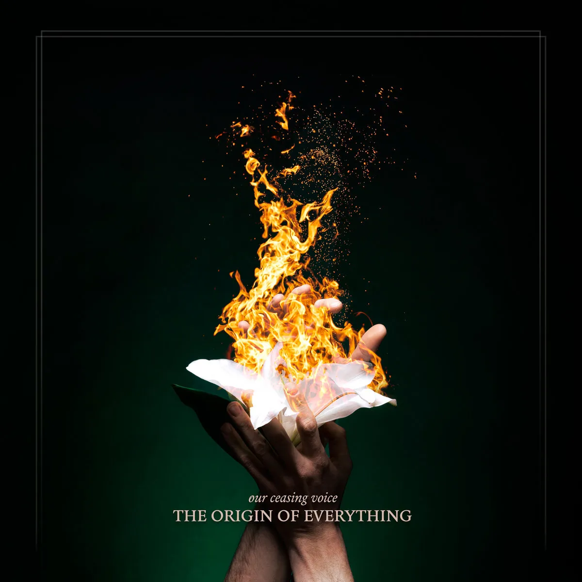 Our Ceasing Voice - The Origin of Everything