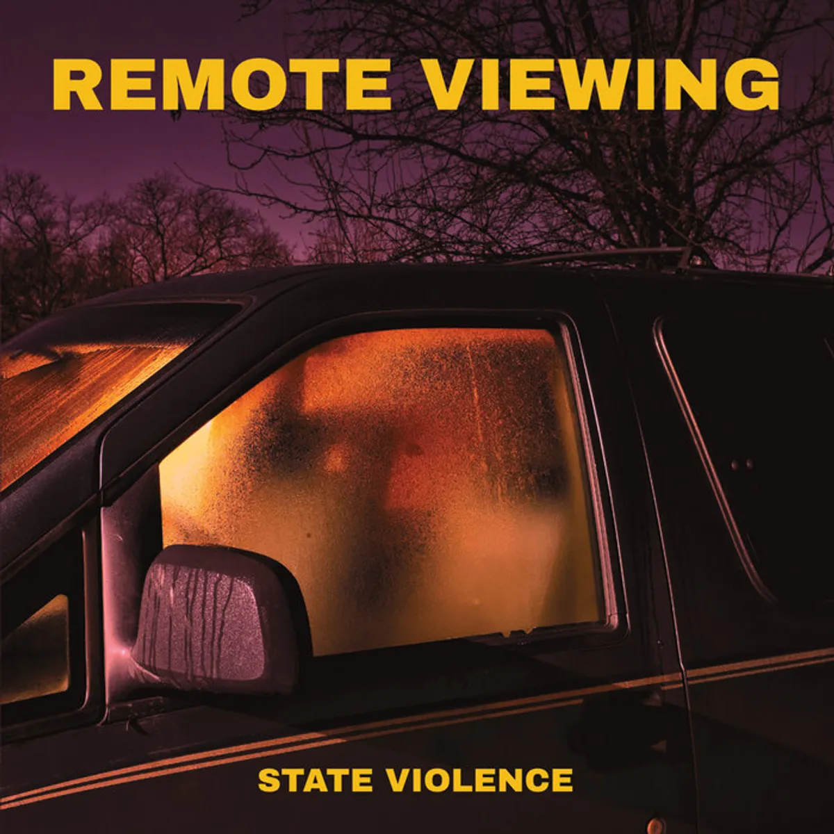 Remote Viewing - State Violence