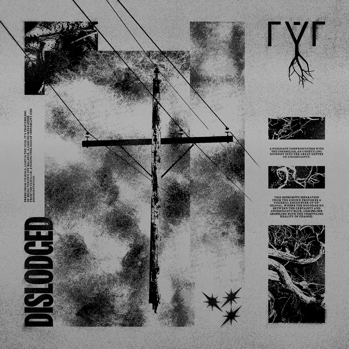 rýr - dislodged