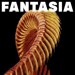Slift - Fantasia album cover