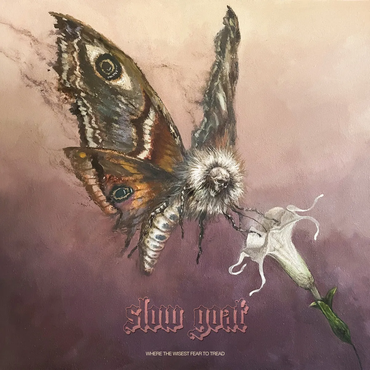 Slow Goat - Where the Wisest Fear to Tread