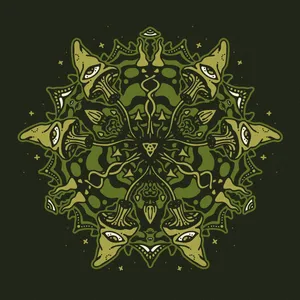 Steinsopp - Goloka Sessions