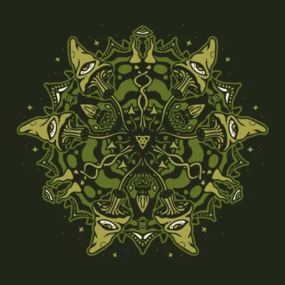 Steinsopp - Goloka Sessions