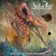 Stellar Rot