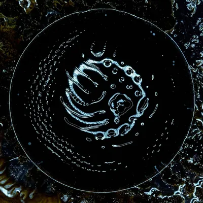 Stonus - Space to Dive