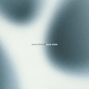 The Dharma Chain - Some Kind Of Pure State