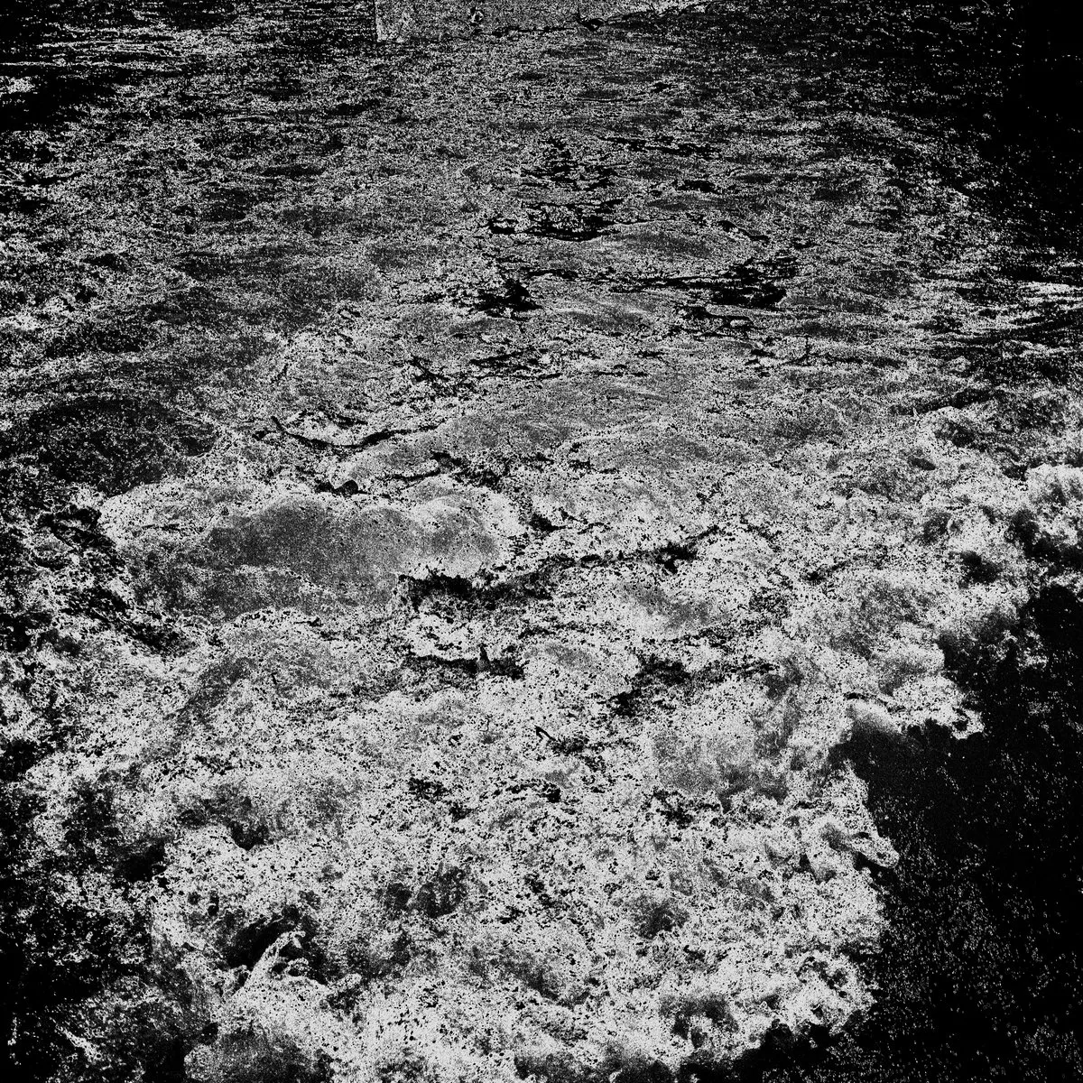 The Red Sea - Le Monde