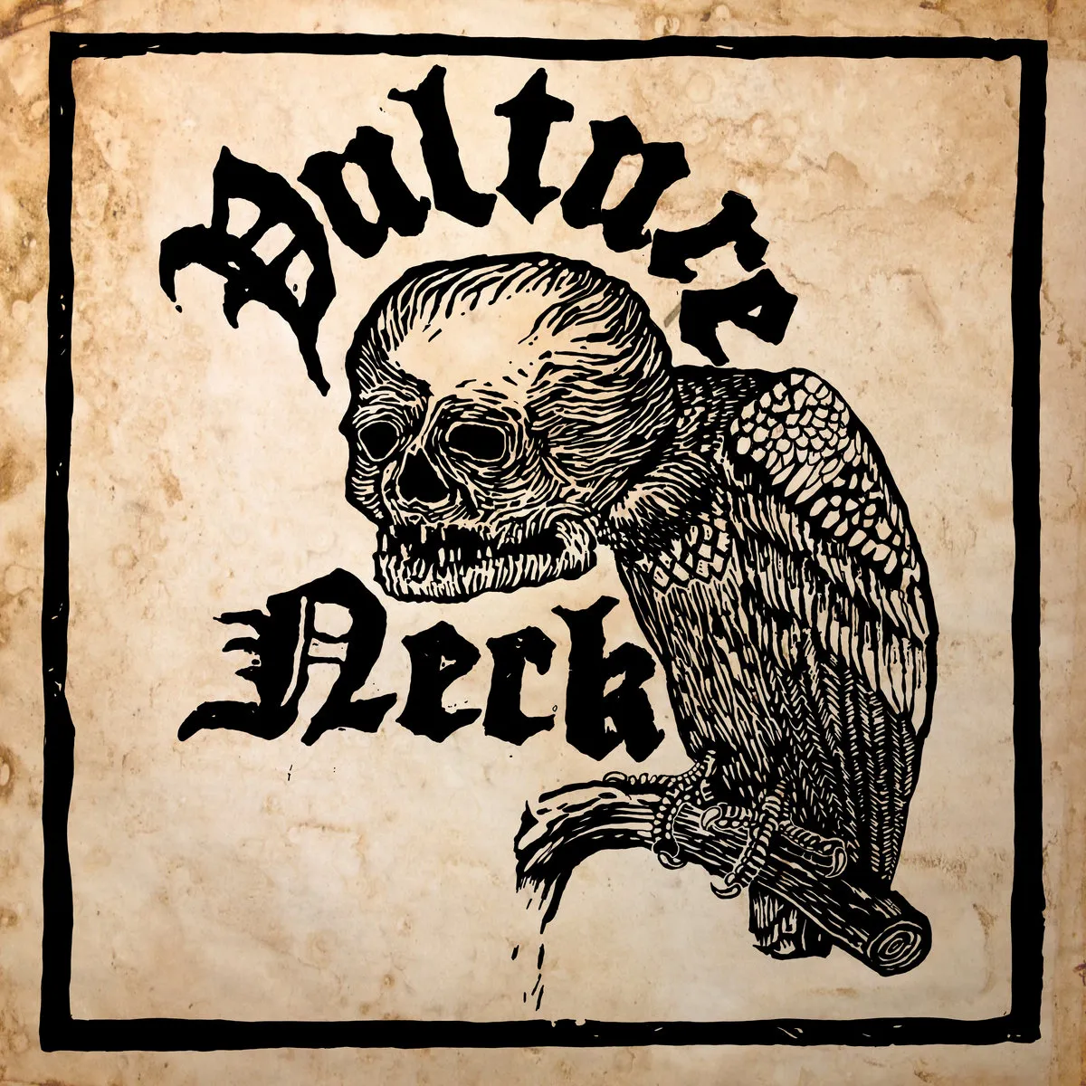 Vulture Neck - Vulture Neck