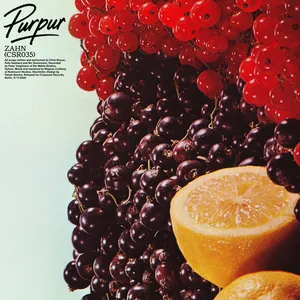 Zahn - Purpur